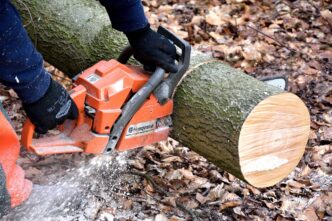 cutting down trees