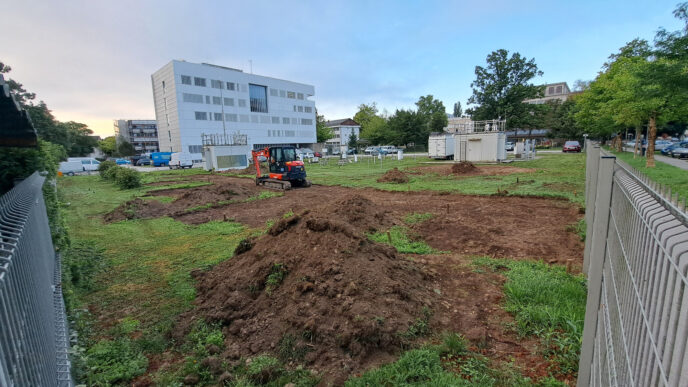 Fenoloski park