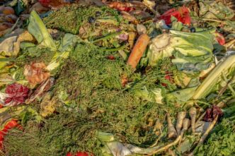 biological waste