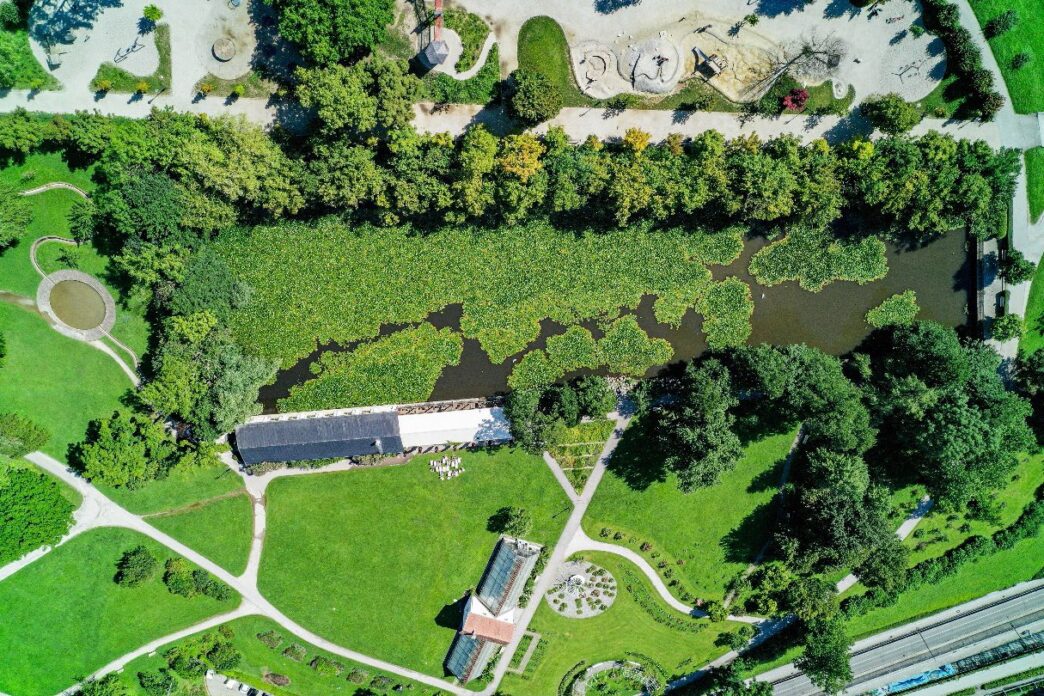 2023 Foto DRON lokvani PRED puljenjem ribnik Tivoli Gasper Kosir