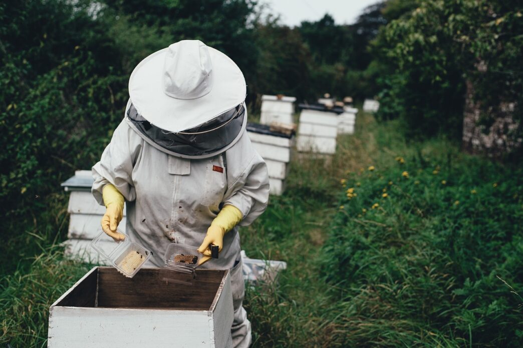 bee