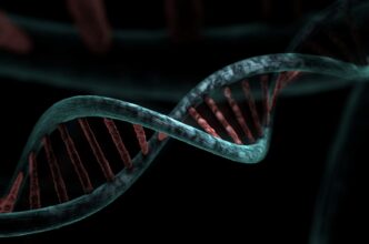 genetics