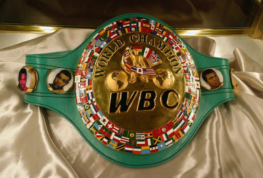 wbc boxing