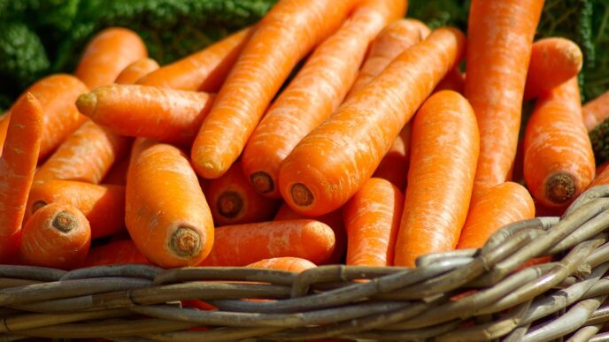 carrot