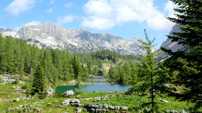 triglav 1