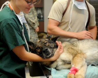 veterinary clinic
