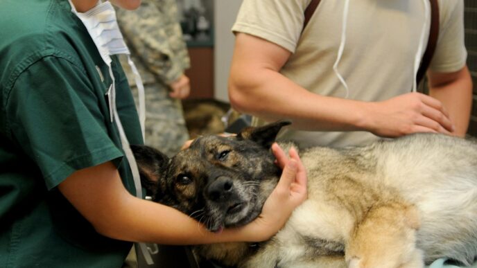 veterinary clinic