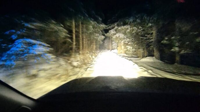 Grs Bohinj Pokljuka e1766927396189