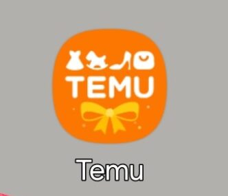 Temu e1765501148633