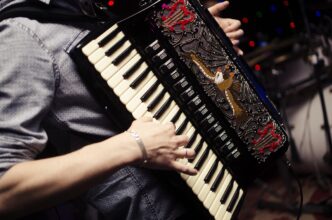 harmonica
