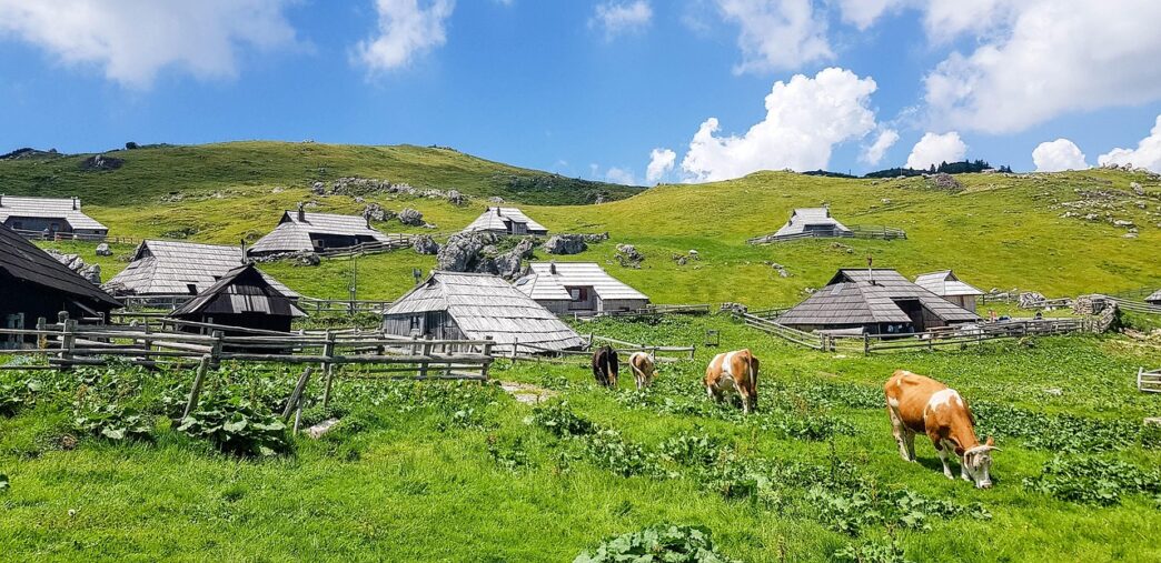 velika planina