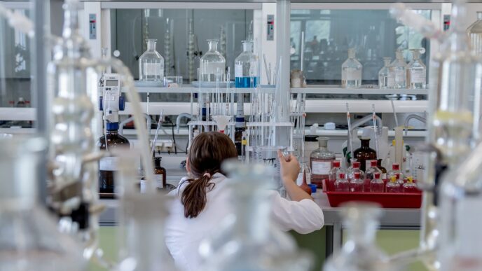 lab