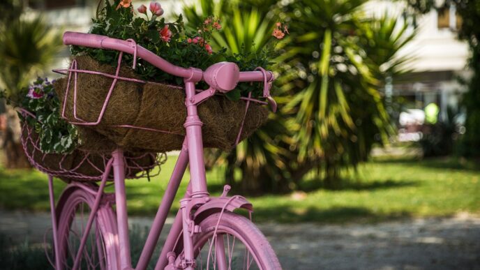 bycicle