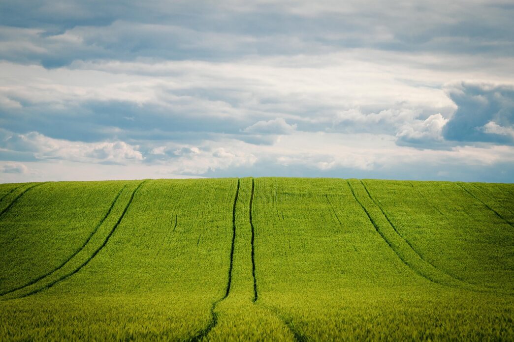 fields