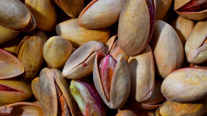 pistacia