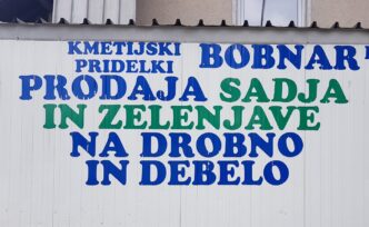 Bobnar e1778865708744