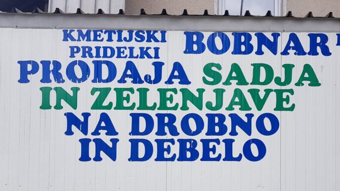Bobnar e1778865708744