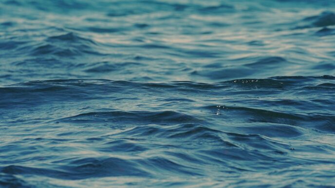 sea