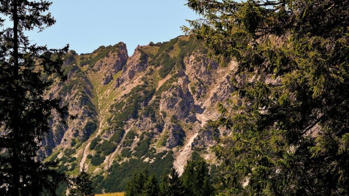 alpe