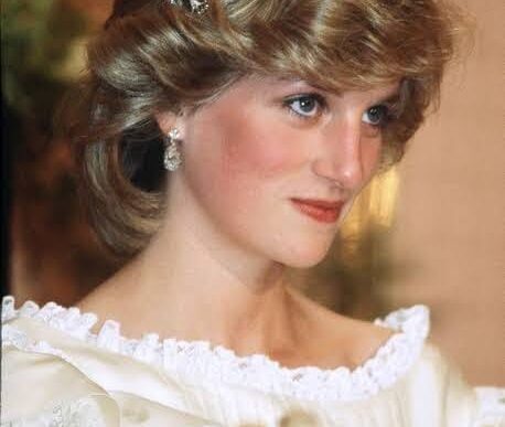 Princesa Diana stran fb